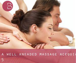 A Well Kneaded Massage (Acequia) #5