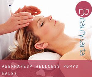 Aberhafesp wellness (Powys, Wales) Aberhafesp wellness (Powys, Wales)