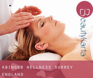 Abinger wellness (Surrey, England) Abinger wellness (Surrey, England)