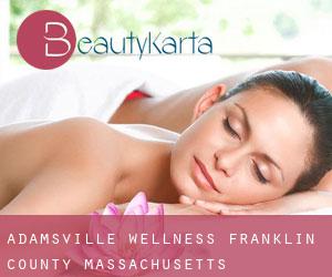 Adamsville wellness (Franklin County, Massachusetts)