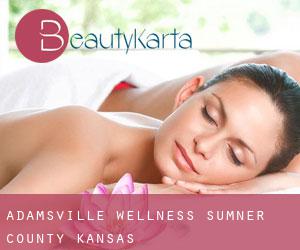 Adamsville wellness (Sumner County, Kansas)