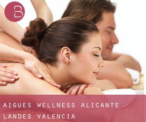 Aigues wellness (Alicante, Landes Valencia)