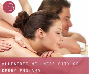Allestree wellness (City of Derby, England)