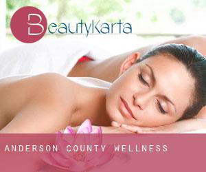 Anderson County wellness