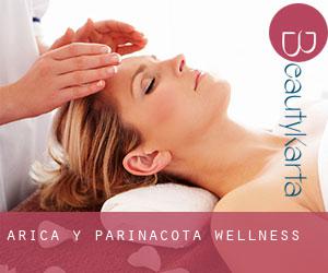 Arica y Parinacota wellness