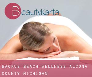 Backus Beach wellness (Alcona County, Michigan)