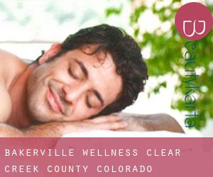Bakerville wellness (Clear Creek County, Colorado)