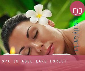 Spa in Abel Lake Forest