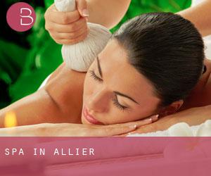 Spa in Allier