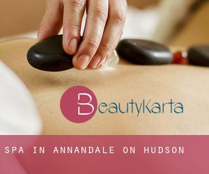 Spa in Annandale-on-Hudson