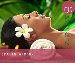 Spa in Armonk