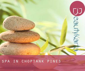 Spa in Choptank Pines