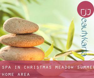Spa in Christmas Meadow Summer Home Area