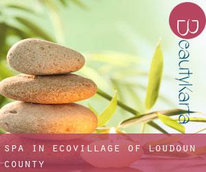 Spa in EcoVillage of Loudoun County