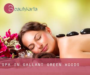 Spa in Gallant Green Woods