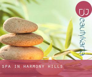 Spa in Harmony Hills