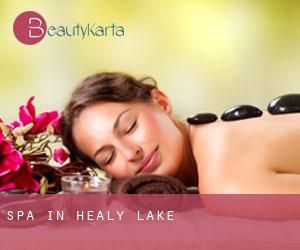 Spa in Healy Lake