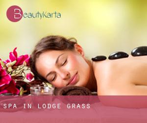 Spa in Lodge Grass