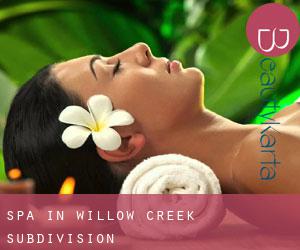 Spa in Willow Creek Subdivision