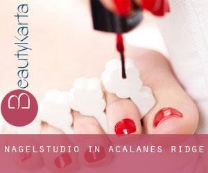 Nagelstudio in Acalanes Ridge