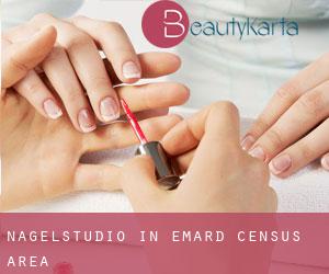 Nagelstudio in Émard (census area) Nagelstudio in Émard (census area)