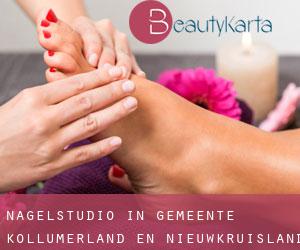 Nagelstudio in Gemeente Kollumerland en Nieuwkruisland