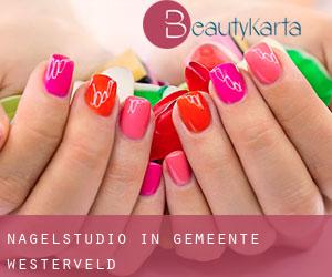 Nagelstudio in Gemeente Westerveld