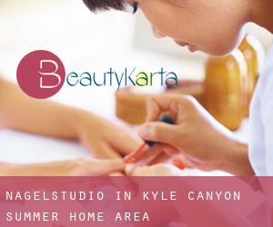 Nagelstudio in Kyle Canyon Summer Home Area