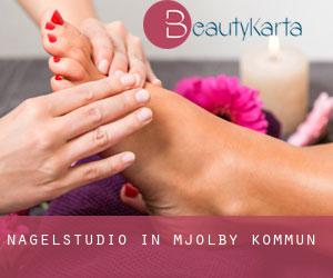 Nagelstudio in Mjölby Kommun