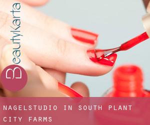 Nagelstudio in South Plant City Farms