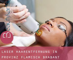 Laser-Haarentfernung in Provinz Flämisch-Brabant