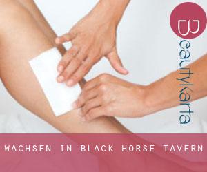 Wachsen in Black Horse Tavern