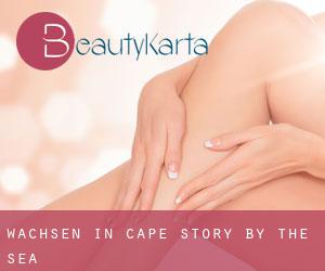 Wachsen in Cape Story by the Sea