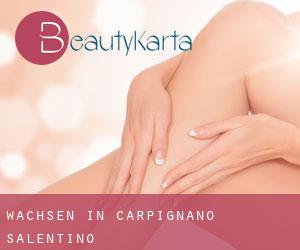 Wachsen in Carpignano Salentino