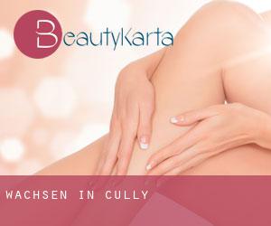 Wachsen in Cully Wachsen in Cully