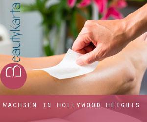 Wachsen in Hollywood Heights