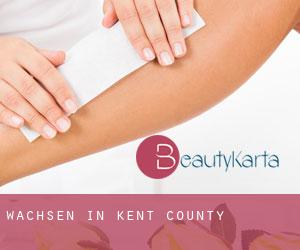 Wachsen in Kent County Wachsen in Kent County
