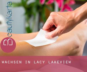 Wachsen in Lacy-Lakeview