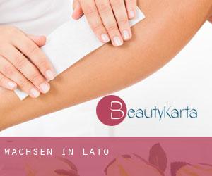 Wachsen in Lato Wachsen in Lato
