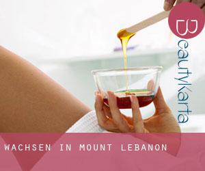 Wachsen in Mount Lebanon