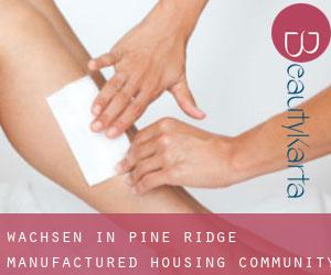 Wachsen in Pine Ridge Manufactured Housing Community