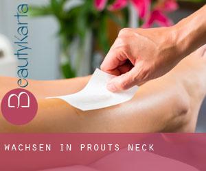 Wachsen in Prouts Neck