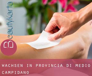 Wachsen in Provincia di Medio Campidano Wachsen in Provincia di Medio Campidano