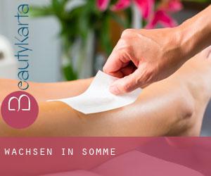 Wachsen in Somme Wachsen in Somme