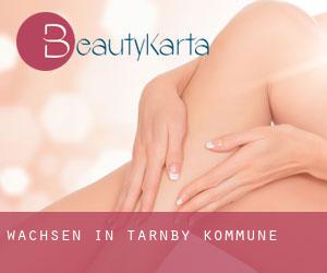 Wachsen in Tårnby Kommune Wachsen in Tårnby Kommune