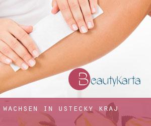 Wachsen in Ústecký Kraj Wachsen in Ústecký Kraj