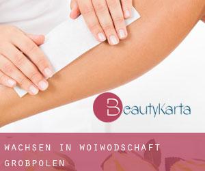 Wachsen in Woiwodschaft Großpolen Wachsen in Woiwodschaft Großpolen