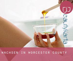 Wachsen in Worcester County Wachsen in Worcester County