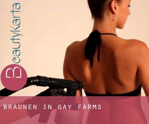 Bräunen in Gay Farms