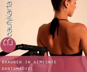 Bräunen in Gemeente Dantumadiel Bräunen in Gemeente Dantumadiel